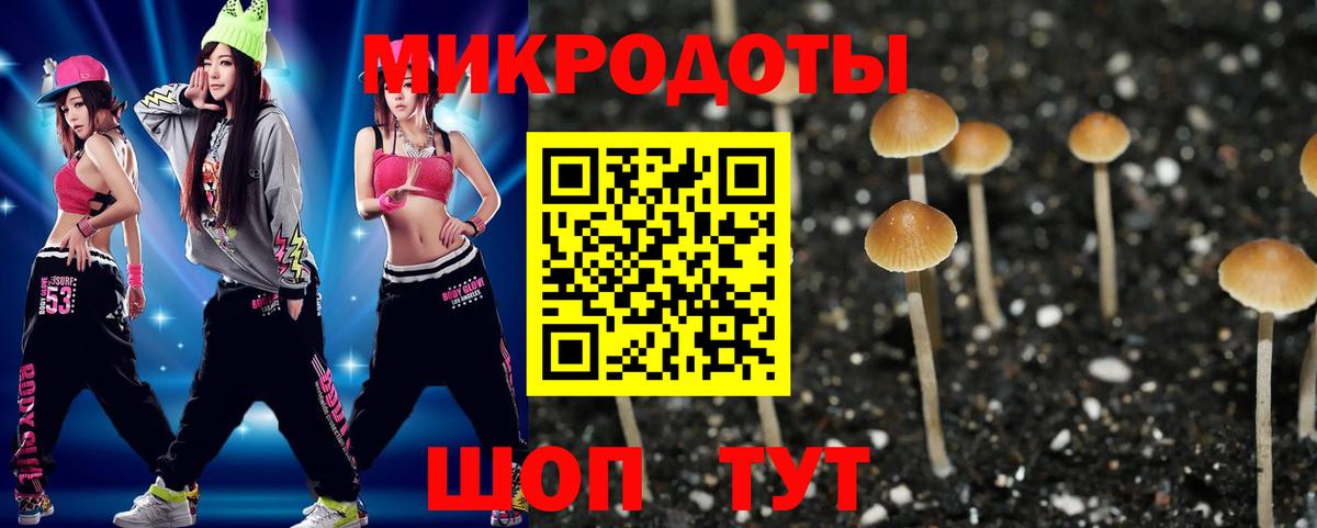 Псилоцибиновые грибы прущие грибы  Вход с VPN  Дербент 